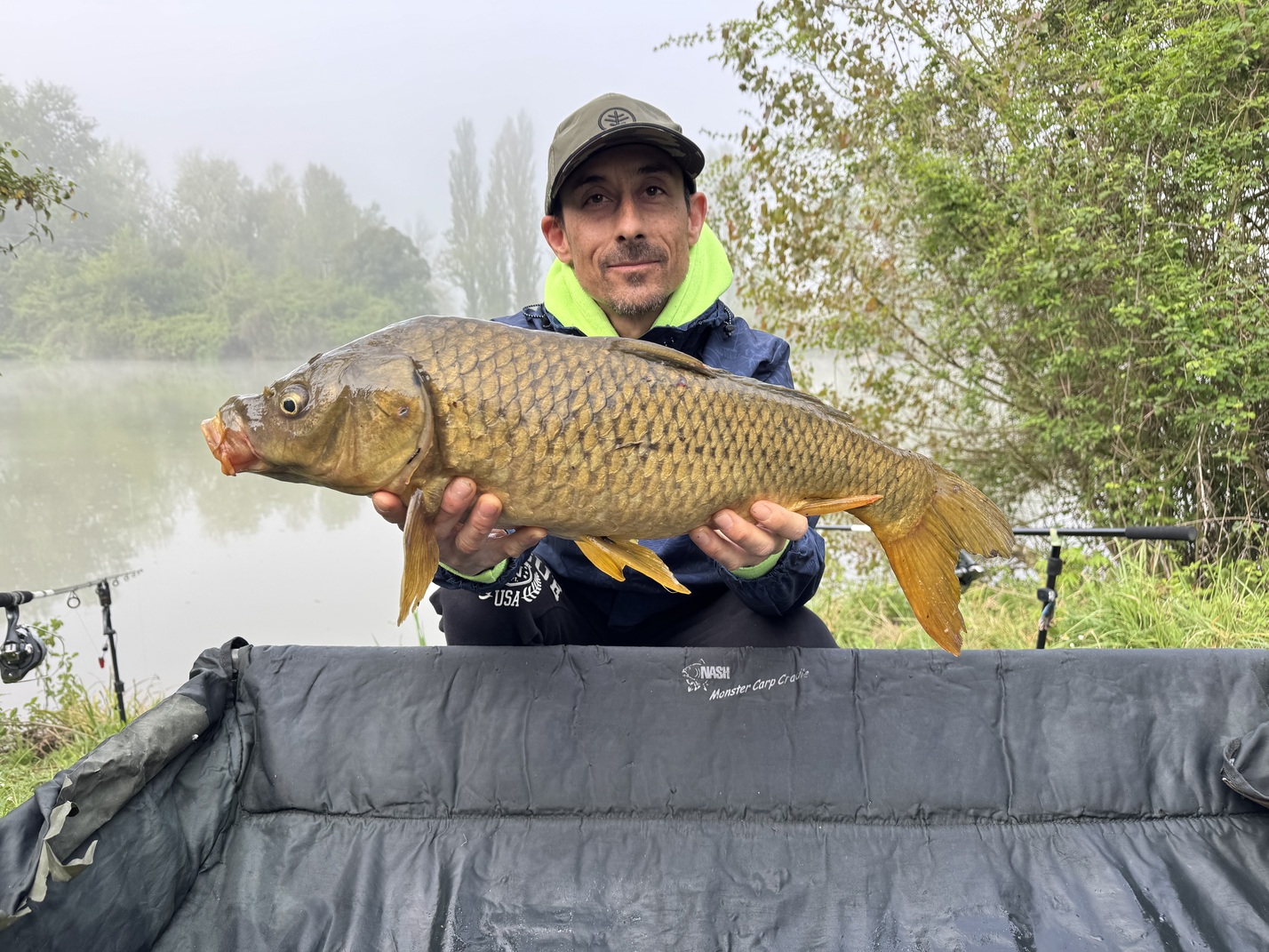 Carpa Regina