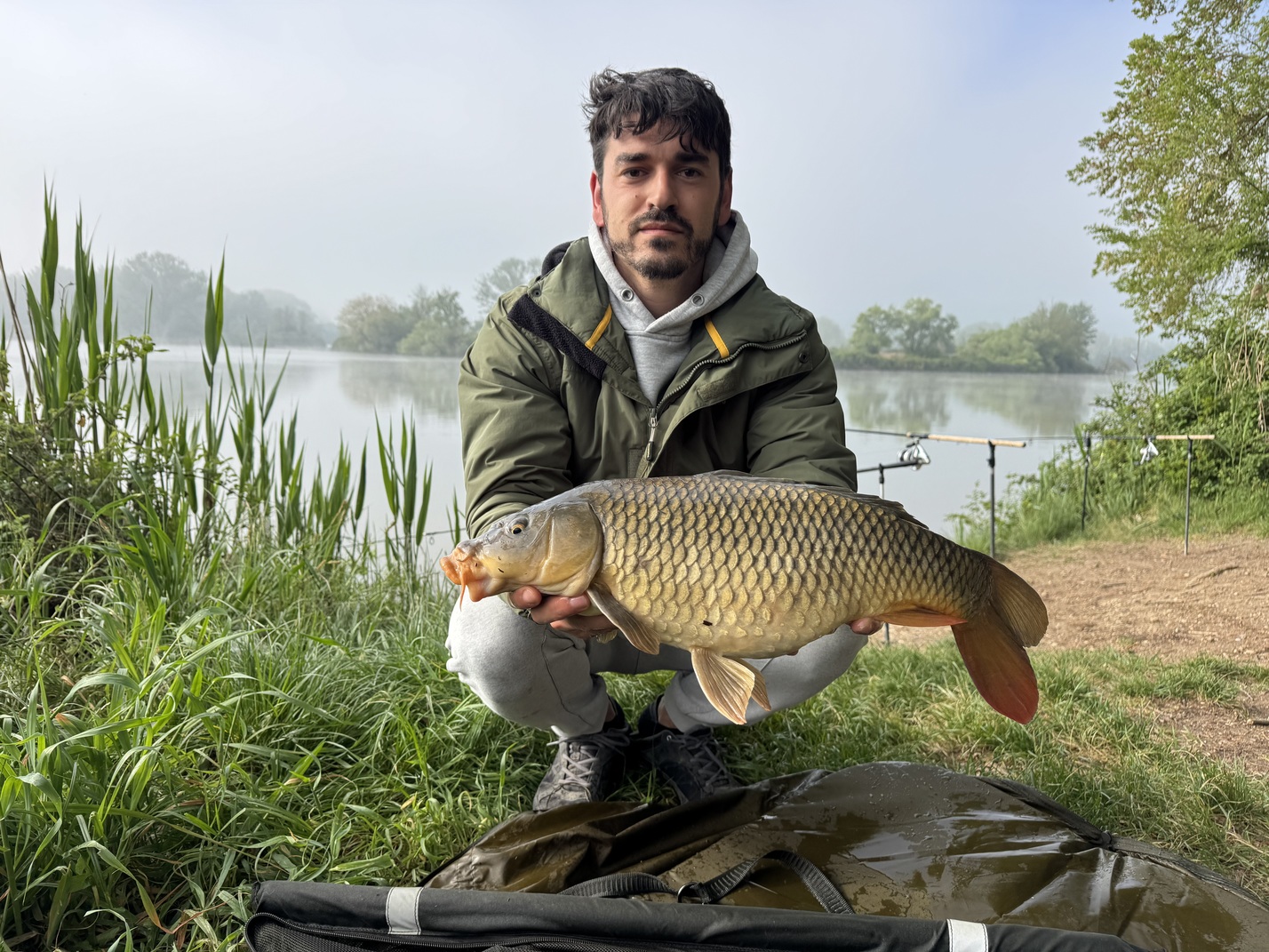 Carpa Regina