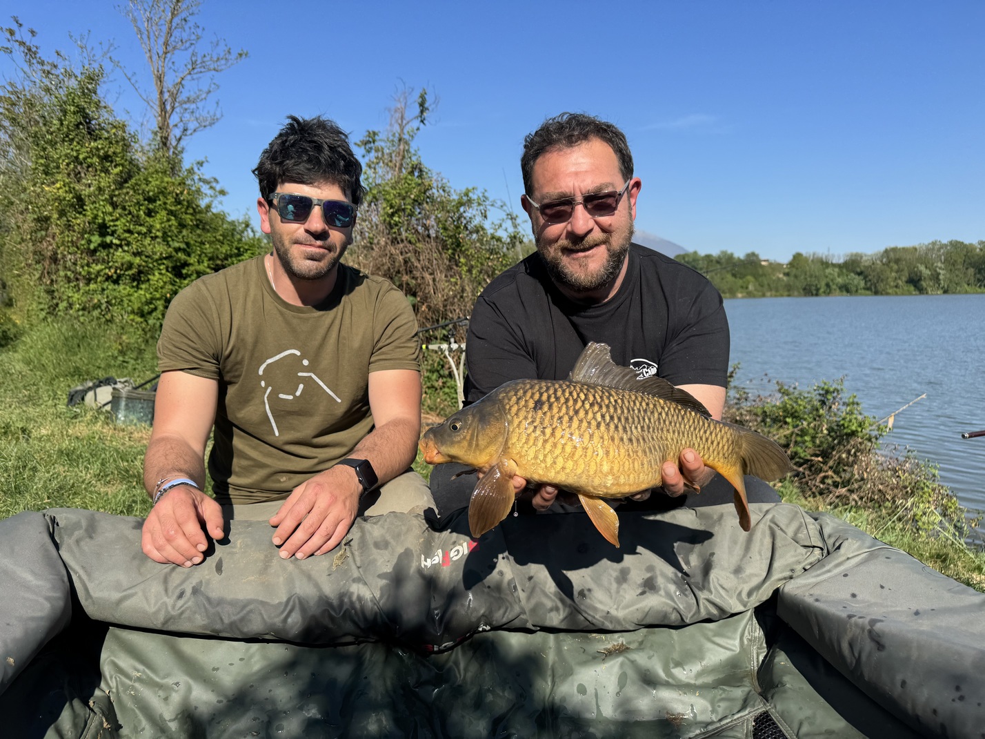 Carpa Regina