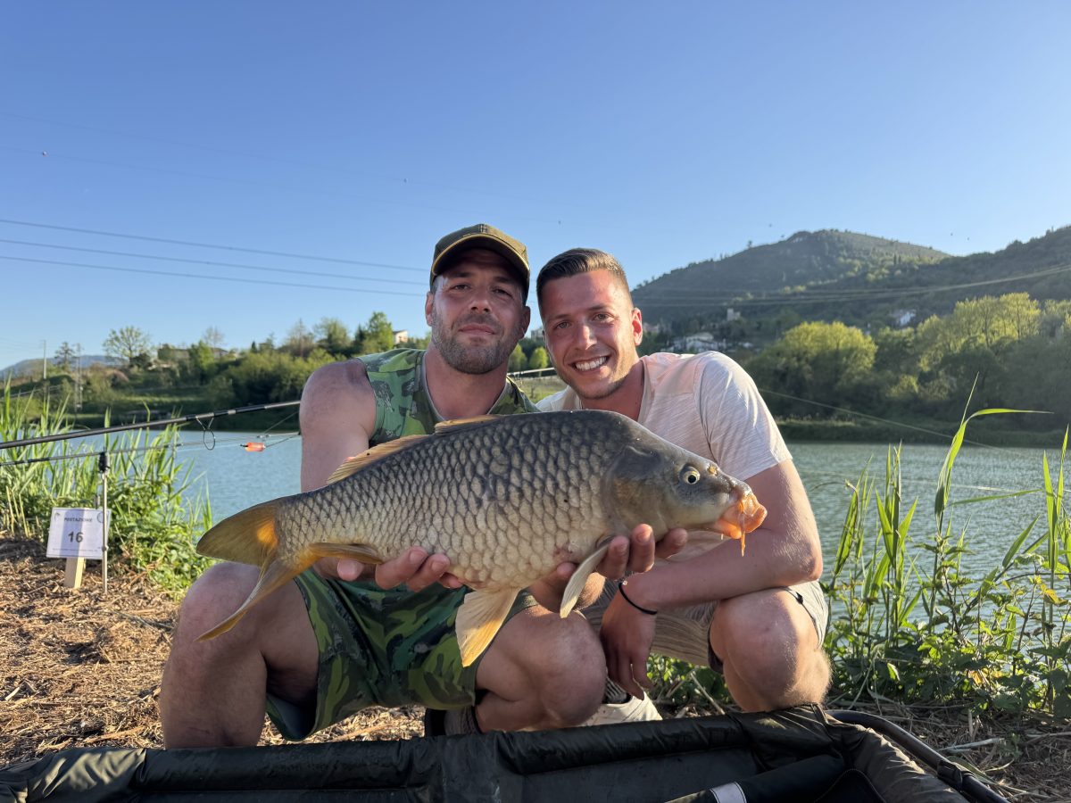 Carpa Regina