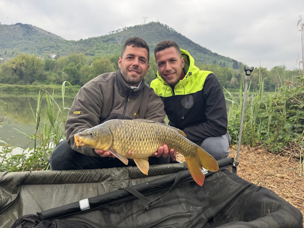Carpa Regina